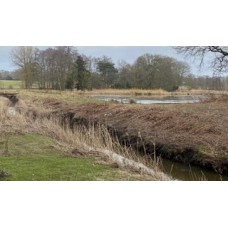 Gundog water training facility rental, exclusive use for 2 hours